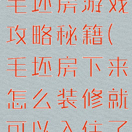 不装修入住毛坯房游戏攻略秘籍(毛坯房下来怎么装修就可以入住了)