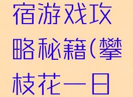 攀枝花住宿游戏攻略秘籍(攀枝花一日游攻略)