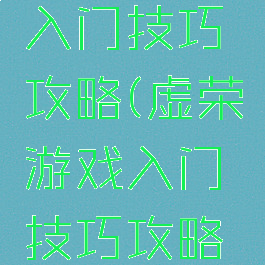 虚荣游戏入门技巧攻略(虚荣游戏入门技巧攻略大全)