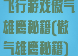 飞行游戏傲气雄鹰秘籍(傲气雄鹰秘籍)