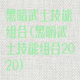 黑暗武士技能组合(黑暗武士技能组合2020)